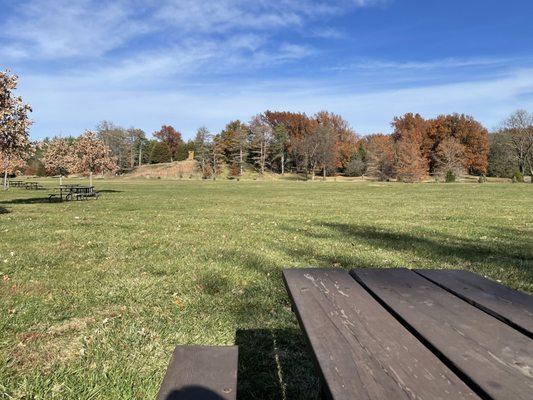 Picnic areas