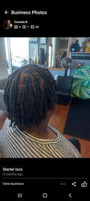 Starter locs