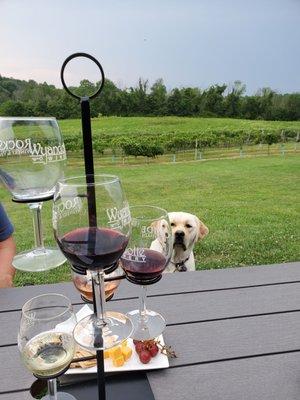 Rockside wine flight, cheese plate and dog-friendly outdoor seating.