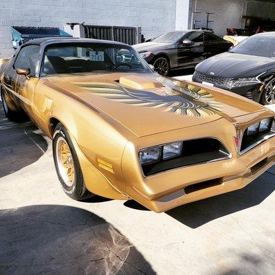 My 78 Trans Am looking like new!