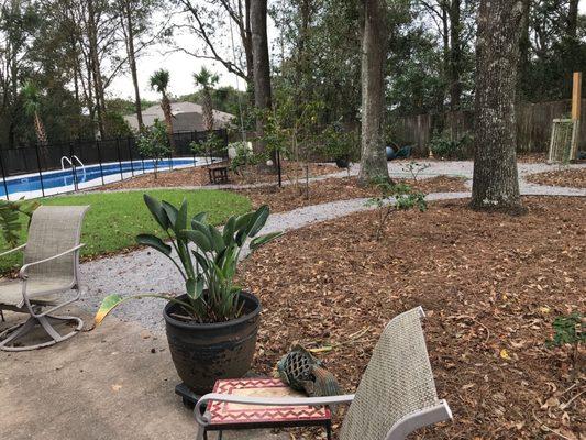 Camellia garden and pool