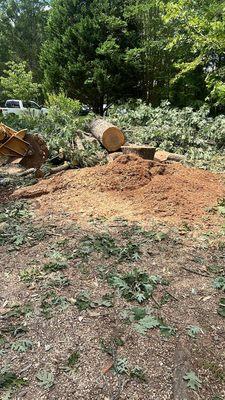 Stump Grinding