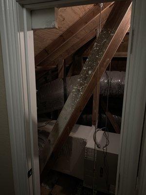 The door between the living space and attic taken off the hinges after they claimed  that "the job was complete "