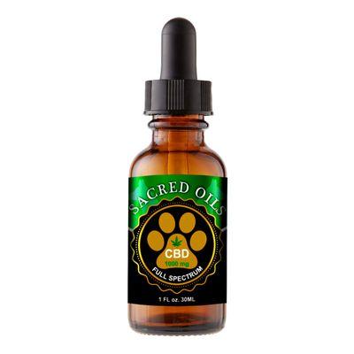 Pet CBD to take care of your best Buddy