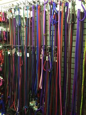 My favorite style leashes