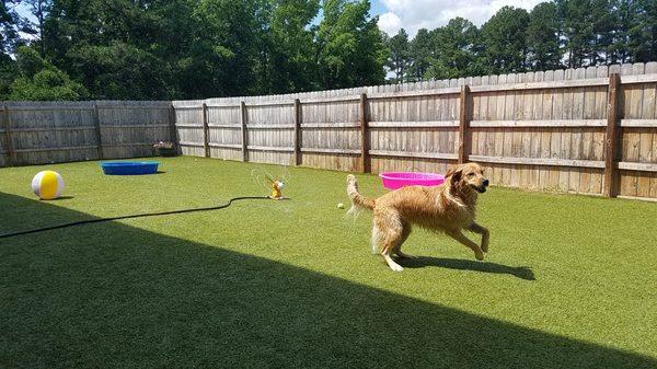 Outdoor turf play area