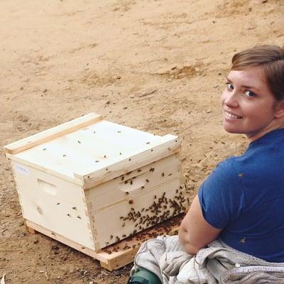 Hilary catching a swarm of bees in Carlsbad!