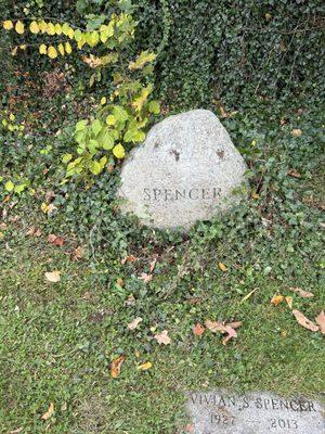 Village Cemetery Weymouth mass. Family stone. Covered with Ivy coming from the wall asked for help no help available.