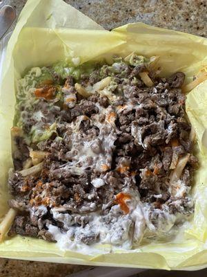 Disgusting Carne Asada Fries