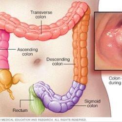 Colon hydrotherapy detox your musician and Lowes way!