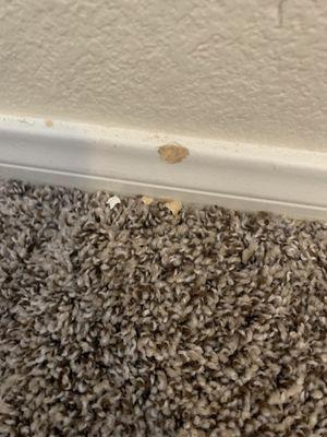 Hole in baseboard