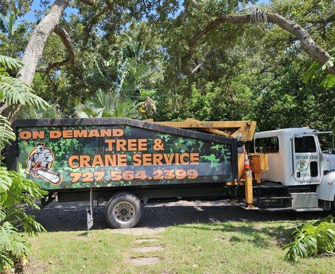 On Demand Tree Service