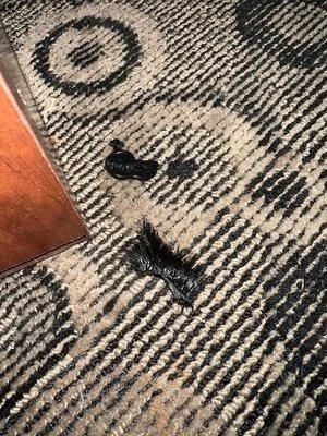 eyelash on floor upon arrival, rooms not vacuumed, even after management was made aware of this.