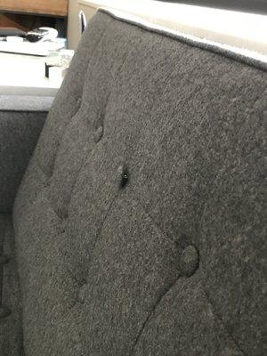 Back cushion buttons popping off