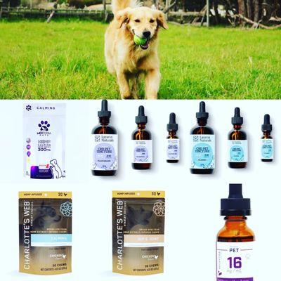 Pet CBD for your cats, dogs, horses etc at Nature's Secret CBD