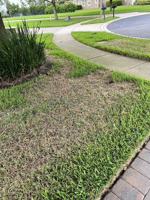 Spray pattern in lawn