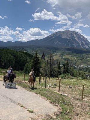 The horses were well cared for and the staff was friendly and the setting was gorgeous.