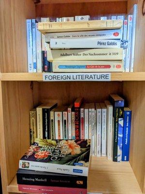 Narrow bookcase with foreign language books.