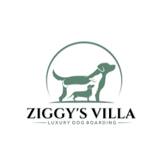 Ziggy's Dog Villa