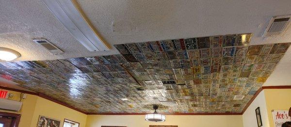 Well that's a cool ceiling lined with license plates