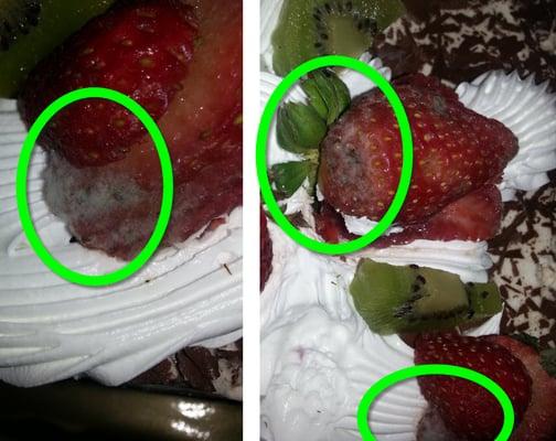 Be wary of mold on the bakery cakes!!!