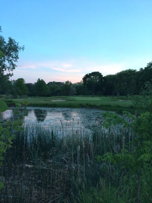 Signature hole #8 from the bridge