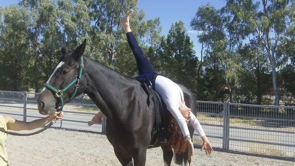 Horseback Riding and Yoga