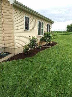 Mulch/plant install