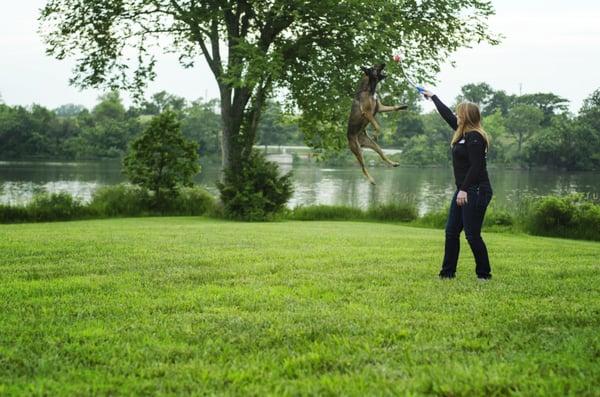 Pups got ups!