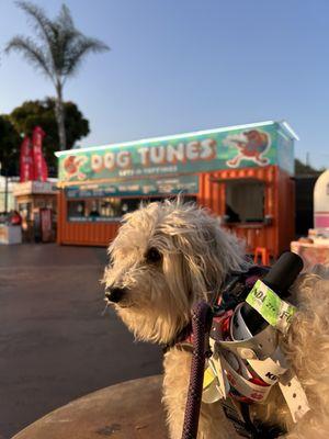 The Pacific Amphitheatre