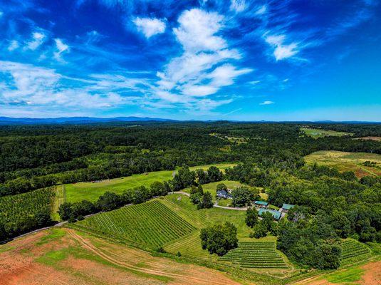 Drone shot of Mountain Run Winery showing the the three vineyards and farmhouse