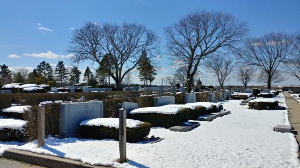 New Montefiore Cemetery