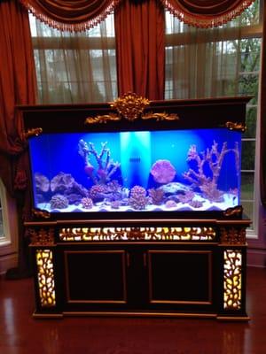 300 gal aquavim tank w/ synthetic reefs