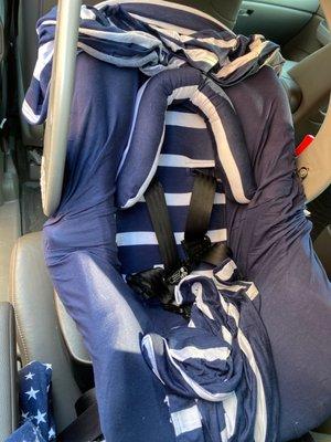 Whole caboodle car seat canopy