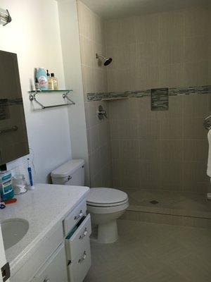 Shower, pan, floor and vanity top.