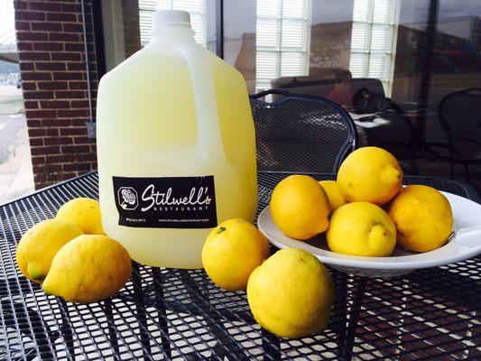 Homemade Lemonade!