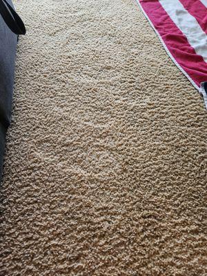 My carpet looks brand new. And smells great!