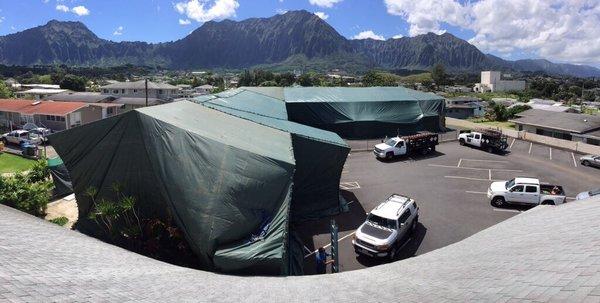 Another successful tent fumigation by Pest Tech Hawaii