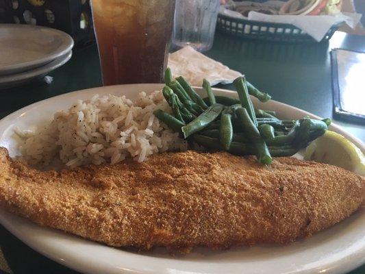 Honeyed Catfish with wild rice and green beans. Beans were sad, but fish was good!