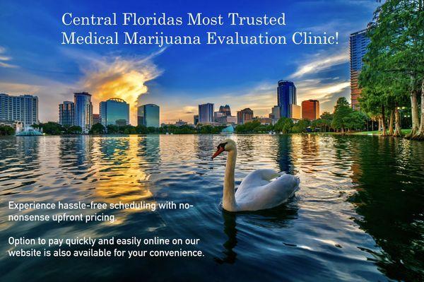 Cannabis Consultants