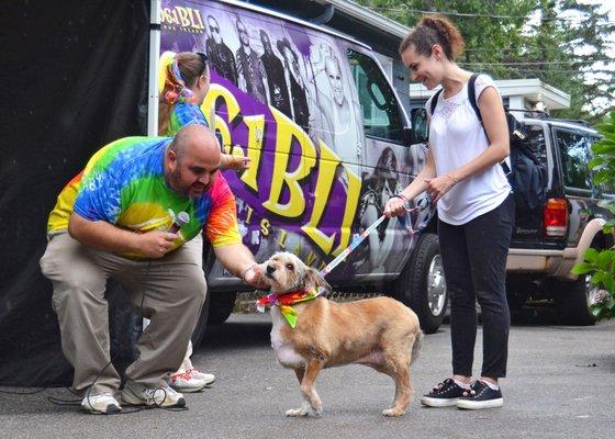 Little Shelter Animal Rescue & Adoption Center