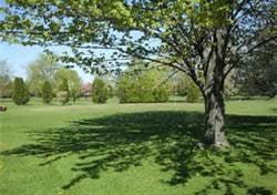 2nd Hole Warfield Greens