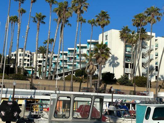 Beautiful condos all w balconies.