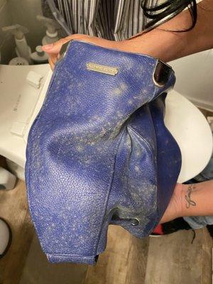 Mold on purse