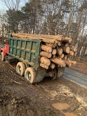 Log removal