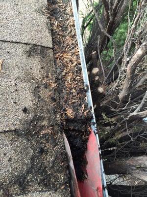 Here's a gutter that's been neglected for years but it's getting clean as a whistle today.