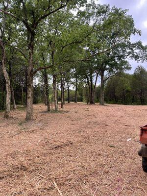 Clearing overgrown property for future perk sites and building sites.