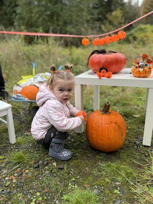 Pumpkin Hunt