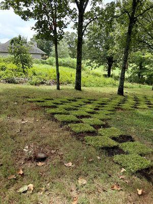 Another picture of sod work I can do for you.