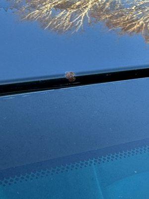 Rust at top of windshield